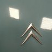 Profile Picture of Meredith Muller (@meredithmuller5543) on Youtube