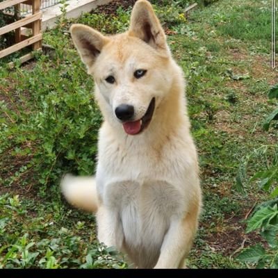 Profile Picture of Paul Wille (@PaulWille7) on Twitter