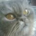 Profile Picture of Aaron Jarot (@aaron.jarot) on Facebook