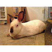 Profile Picture of Kathy Lucas (@kathylucas2750) on Youtube