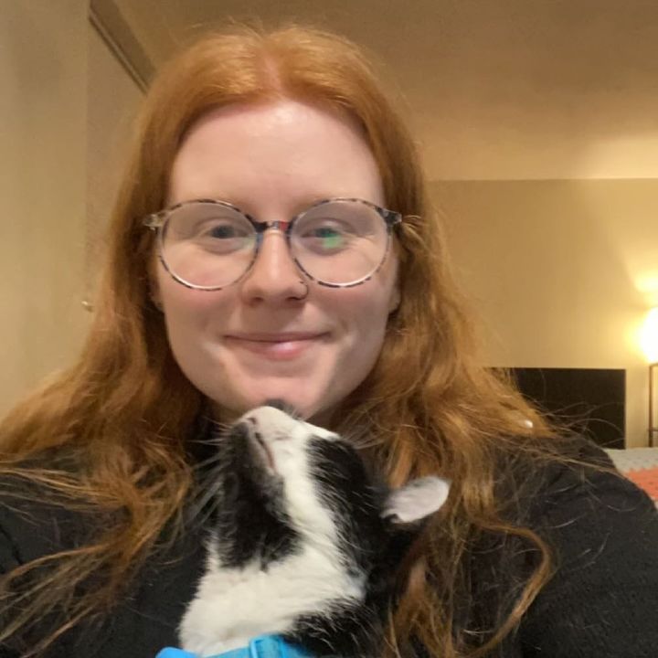 Profile Picture of Elizabeth Peterson (@@elizabeth.peterson16) on Tiktok