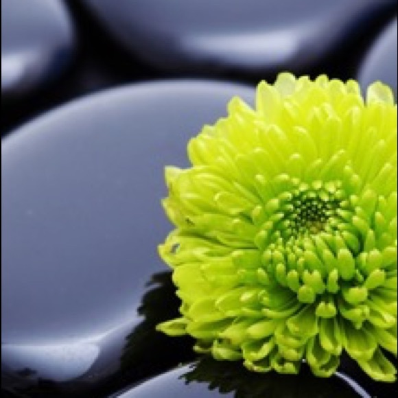 Profile Picture of Niki Didiano (@ndidiano) on Poshmark