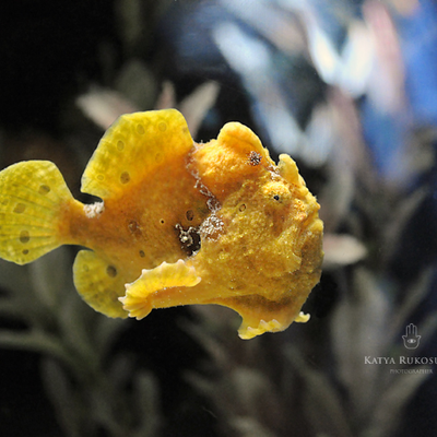 Profile Picture of Babette Weber (@babette85281876) on Twitter