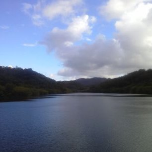 Profile Picture of Kevin Lebron (@hectoraponte12) on Twitter