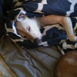 Profile Picture of Jason Smeaton (@xjtcharliex) on Instagram