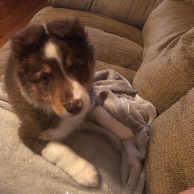 Profile Picture of Candace Driver (@cAndAce1028) on Twitter