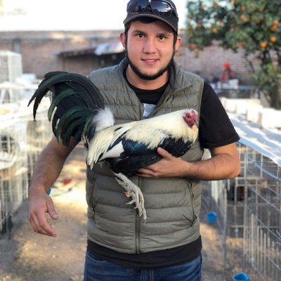 Profile Picture of Johnny Guillen (@JohnnyCena619) on Twitter