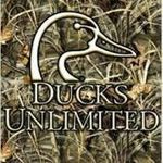 Profile Picture of joshua stickles (@josh_aka_randall) on Instagram