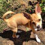 Profile Picture of Ellis Jodi (@iamradioglamour) on Instagram