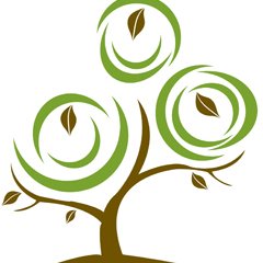 Profile Picture of Bamola Store (@BamolaStore) on Twitter