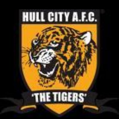 Profile Picture of Sean (@HullCity1984) on Twitter