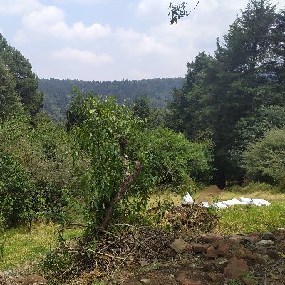 Profile Picture of Cynthia Valeri Roque Angeles (@CynthiaValeriR1) on Twitter