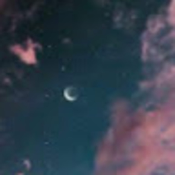 Profile Picture of Halle Jennings (@hallejenningss) on Poshmark