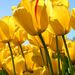 Profile Picture of Maricela Campos (@maricelaca2279) on Pinterest