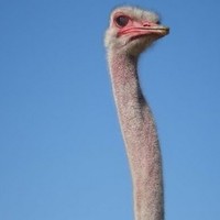 Profile Picture of Carl Good (@carl-good) on Quora