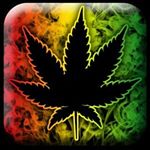 Profile Picture of Tyler Richards (@weed_growing) on Instagram
