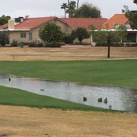 Gail Trullinger - Poshmark Profile Picture of Gail Trullinger (@gmkt) on Poshmark