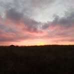 Profile Picture of Suzanne Zajac (@suzanne.zajac) on Facebook