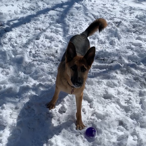 Profile Picture of Autumn Rompf (@autumn_rompf) on Poshmark