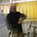 Profile Picture of Steve Cox (@stlcox) on Flickr