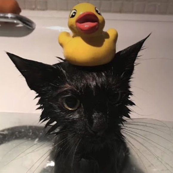 Profile Picture of Reese Packett (@packettreese) on Poshmark