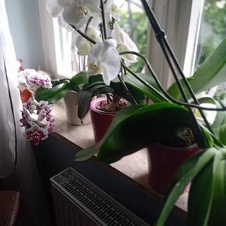 Profile Picture of Anna Barozzi (@anna.barozzi.39) on Facebook