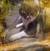 Profile Picture of Jeffrey Borsack (@jeffrey.borsack.7) on Facebook