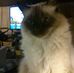 Profile Picture of Lorie Hutton (@Lorie-Hutton) on Facebook