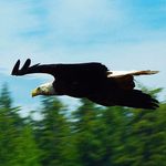 Profile Picture of Doug Gamble (@douggamble) on Instagram