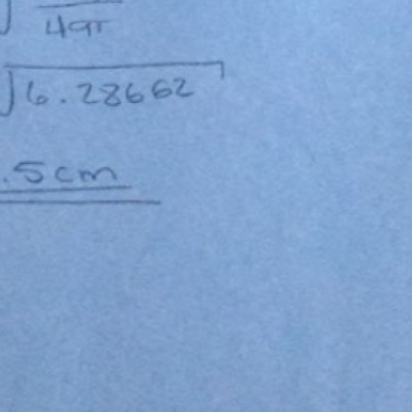 Profile Picture of Carolina Debrowyk (@c_debrowyk) on Poshmark