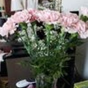 Profile Picture of Catherine Moore (@catherinemoore3494) on Youtube