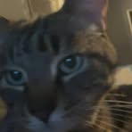 Profile Picture of Richard Rakestraw (@richard.rakestraw.9) on Facebook