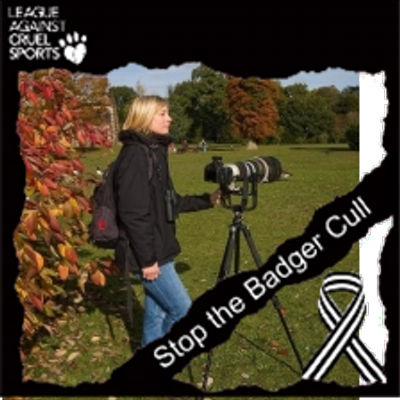 Profile Picture of Clare Ward (@clareward1) on Twitter