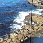 Profile Picture of Leora Cohen (@leoracohen_) on Instagram