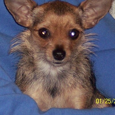 Profile Picture of DOUGLAS HARTSFIELD (@FLAOPOSSUM) on Twitter