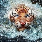 Profile Picture of Paul (@paul_wilbanks) on Instagram