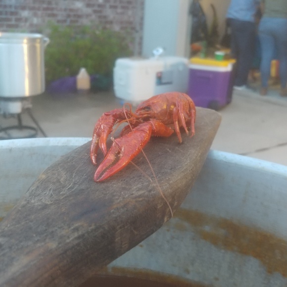 Profile Picture of Chase Lebouef (@clebouef170) on Poshmark