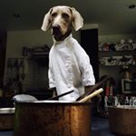 Profile Picture of Jason Danciger (@l_danciger) on Instagram
