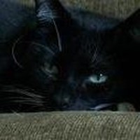 Profile Picture of Tabatha Chandler- Allen (@tabatha-chandler-allen) on Quora