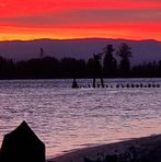 Profile Picture of Cristal Roberts (@Cristal-Roberts) on Facebook