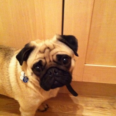 Profile Picture of Gary Large (@largey666) on Twitter