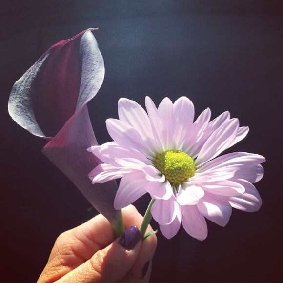 Profile Picture of Shannon Kilty (@shan1626) on Poshmark