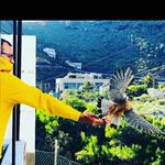 Profile Picture of Rober Sanchez Febles (@rober_tama) on Instagram