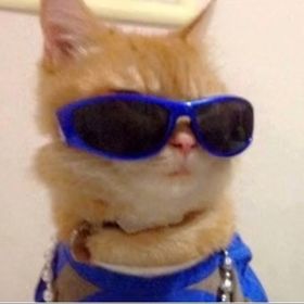 Profile Picture of Yee Chee Lim (@yeecheelim) on Pinterest