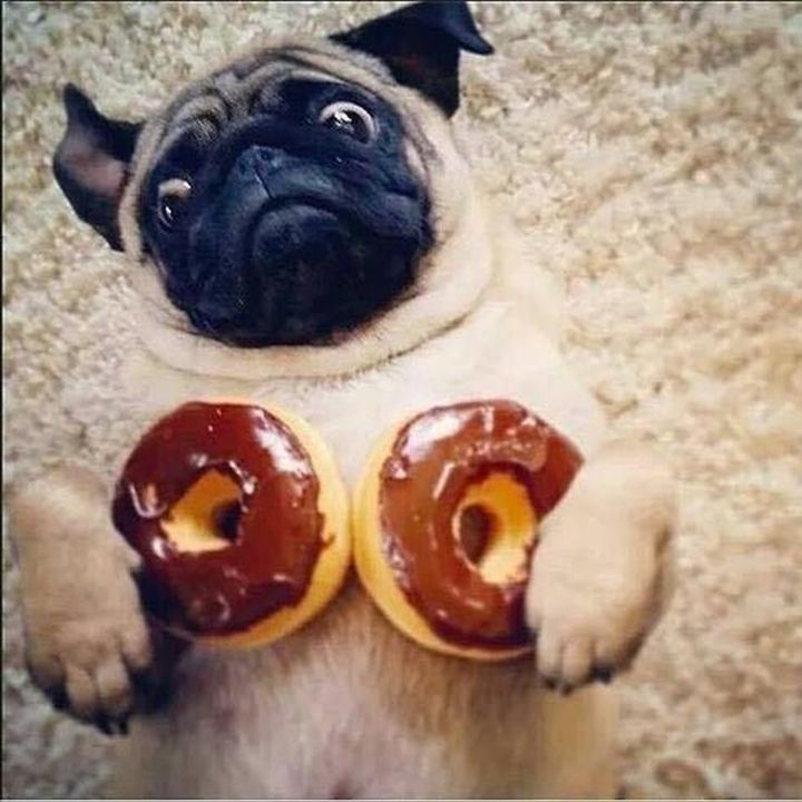 Profile Picture of Isaac Aguilera (@isaac_lol_hehe) on Tiktok