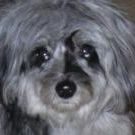 Profile Picture of Nancy Hobgood (@njh1952) on Pinterest