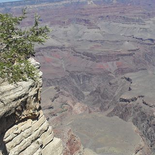 Profile Picture of Barnice Shaffer (@barnice.shaffer) on Facebook