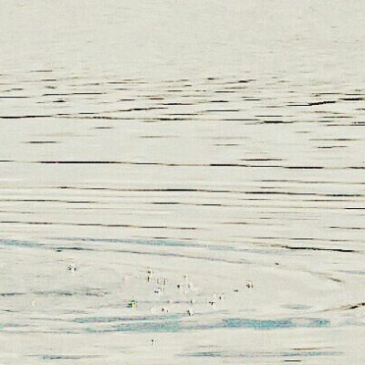 Profile Picture of Maxim Tkachenko (@MaximTkachenko7) on Twitter