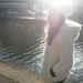 Profile Picture of Cyrine Kechrid (@cyrinekechrid) on Pinterest