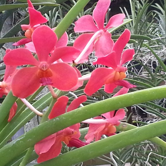 Profile Picture of Lisette Jimenez (@lisettejim30) on Poshmark